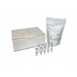 genesig Easy LysoBead Direct-to-PCR Extraction Kit