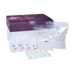  FastGene RNA Basic Kit (250)