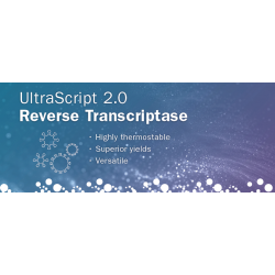 UltraScript 2.0 cDNA Synthesis Kit