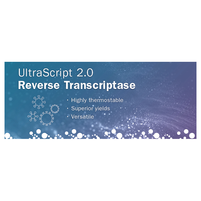 UltraScript 2.0 cDNA Synthesis Kit Separate Oligos