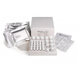 Total Proinsulin ELISA kit