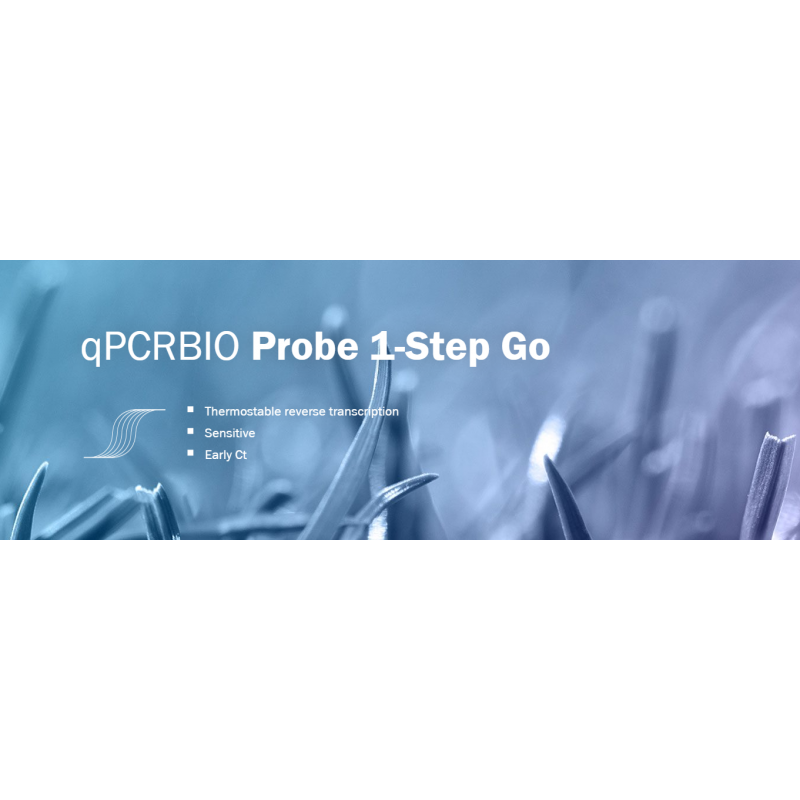 qPCR Probe 1-Step Go Hi-ROX