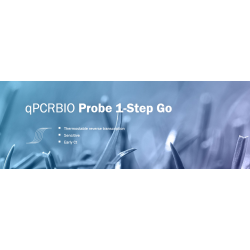 qPCR Probe 1-Step Go No-ROX