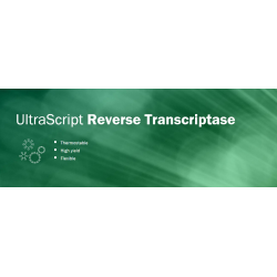UltraScript Reverse Transcriptase