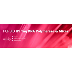 PCRBIO HS Taq DNA Polymerase (250 UI)