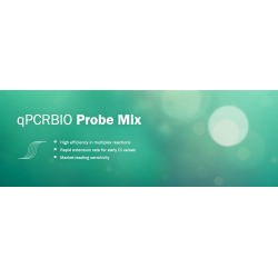qPCRBIO Probe Mix Lo-ROX (500 reakcí)