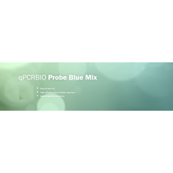 qPCRBIO Probe Blue Mix Lo-ROX