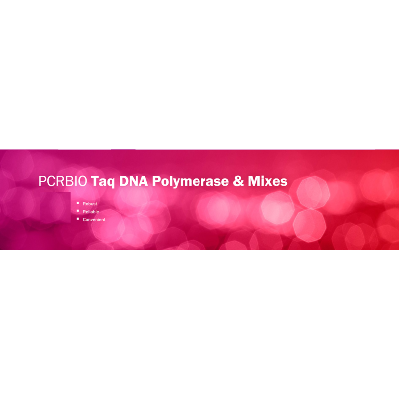 PCRBIO Taq DNA Polymerase (500 UI)