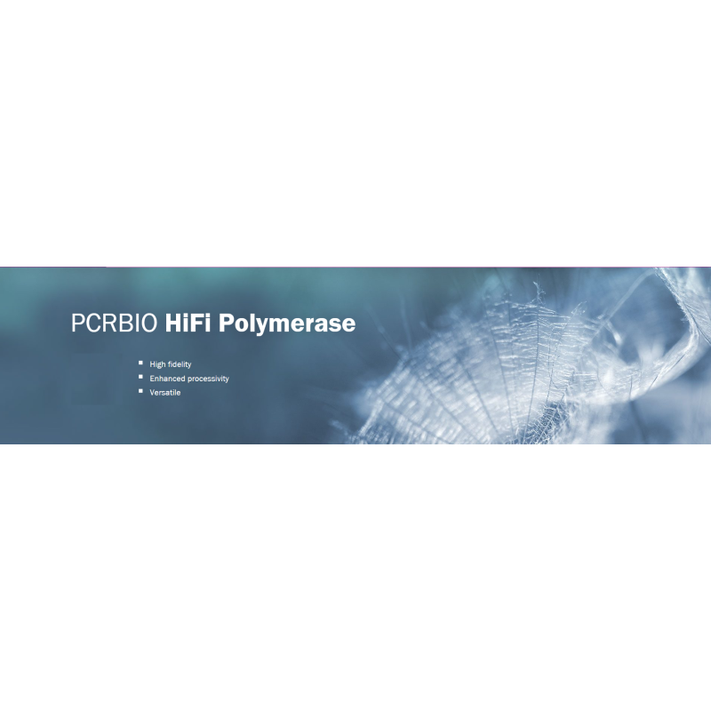 PCRBIO HiFi Polymerase (1000 UI)
