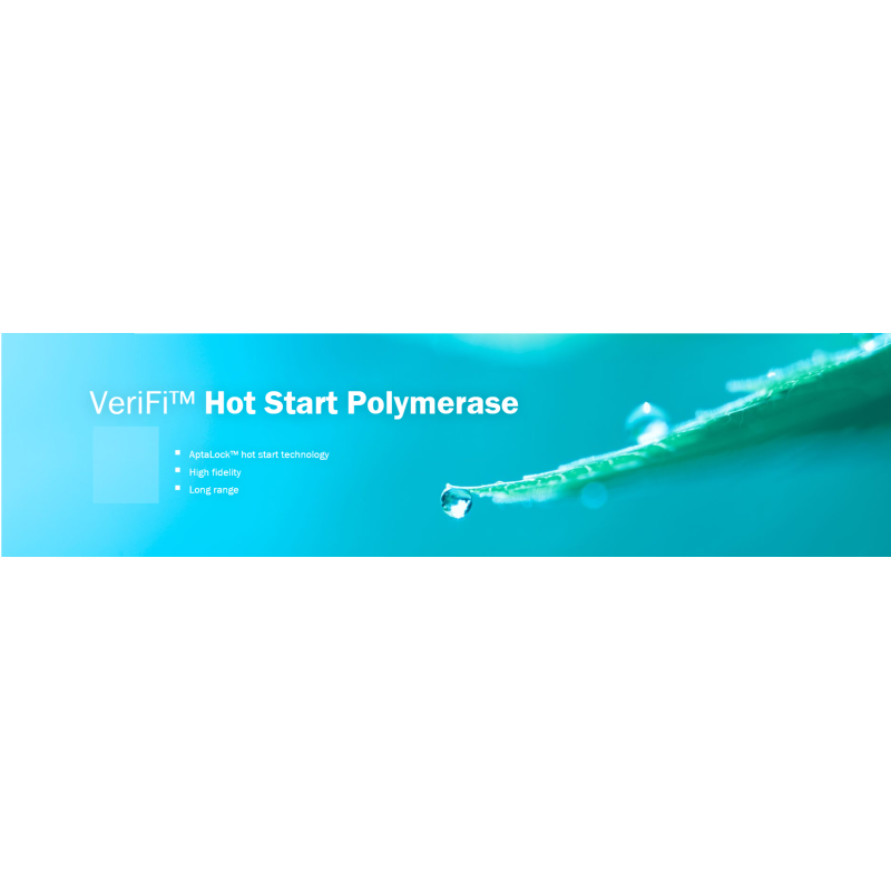 VeriFi™ Hot Start Polymerase (500 units)