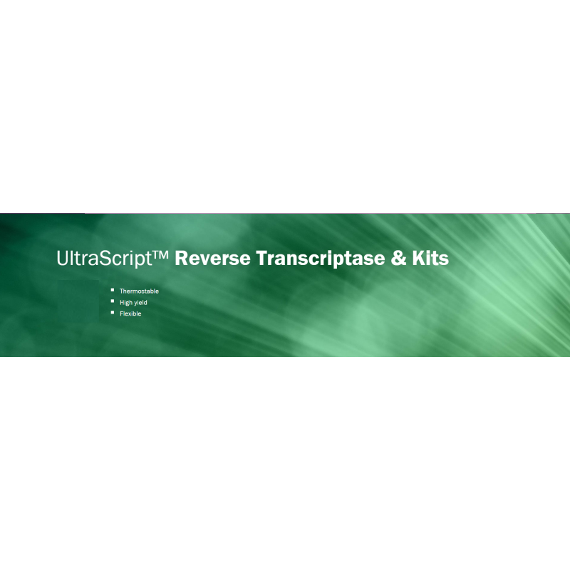 UltraScript™ cDNA Synthesis Kit (25 reakcí)
