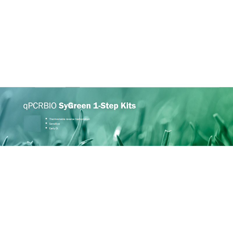 qPCRBIO SyGreen 1-Step Go Lo-ROX (100 reakcí)