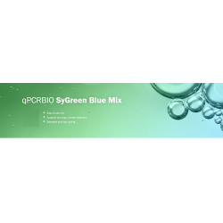 qPCRBIO SyGreen Blue Mix Separate-Rox