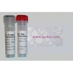 qPCRBIO Genotyping Mix Lo-ROX (100 reakcí)