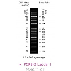 PCRBIO Ladder I (500)