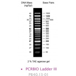 PCRBIO Ladder III (100)