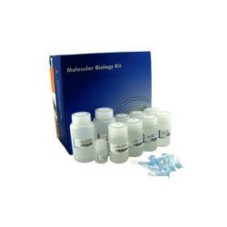 96 Well Plate RNA Cleanup & Concentration  Kit (2 destičky)