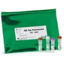 MB Taq DNA Polymerase